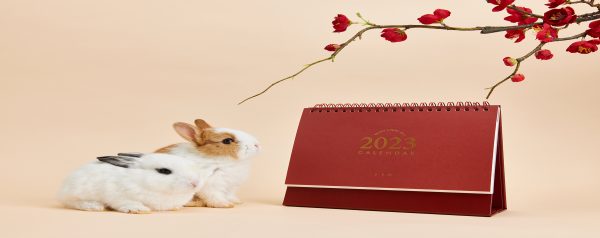 May the year of the rabbit be filled with love, warmth, and as much time with you as a rabbit .